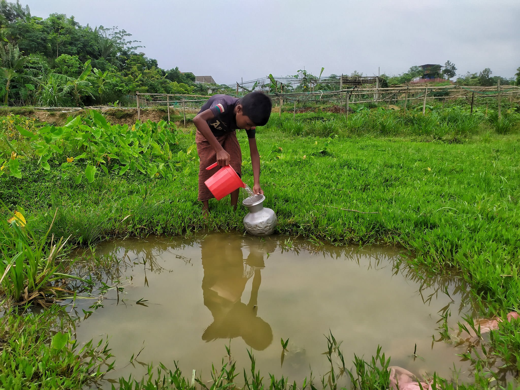 Boy taking water from muddy pool by Mohammed Hossain